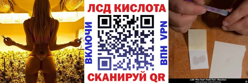 Марки N-bome 1500мкг  Купить закладки  Ржев 