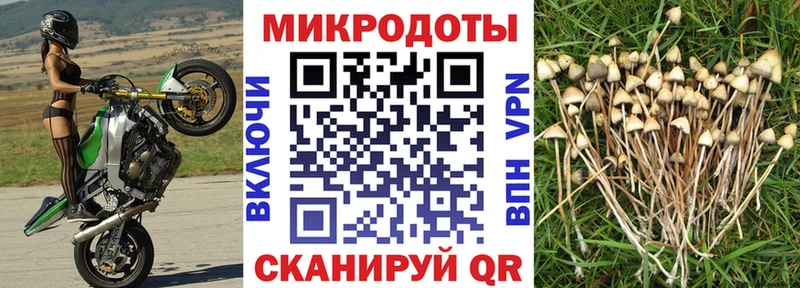 Галлюциногенные грибы мухоморы  Купить где  Ржев 